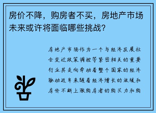 房价不降，购房者不买，房地产市场未来或许将面临哪些挑战？